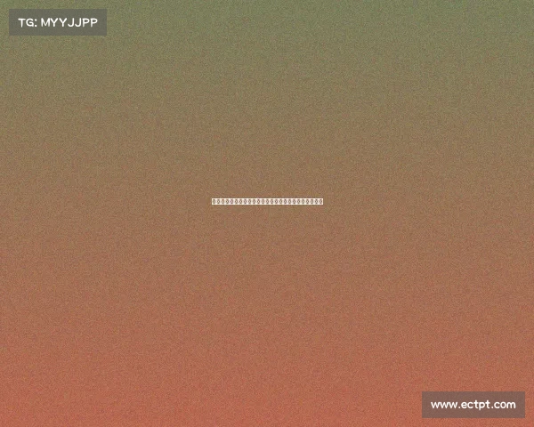 激情四溢的球迷文化如何影响现代体育赛事的氛围与发展