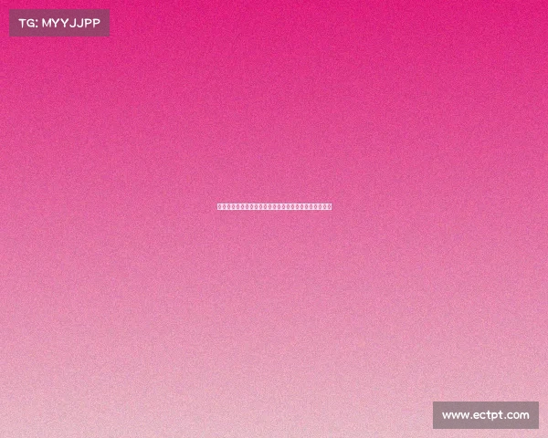 网球比赛设备全面解析：从球拍到场地设施的全方位介绍