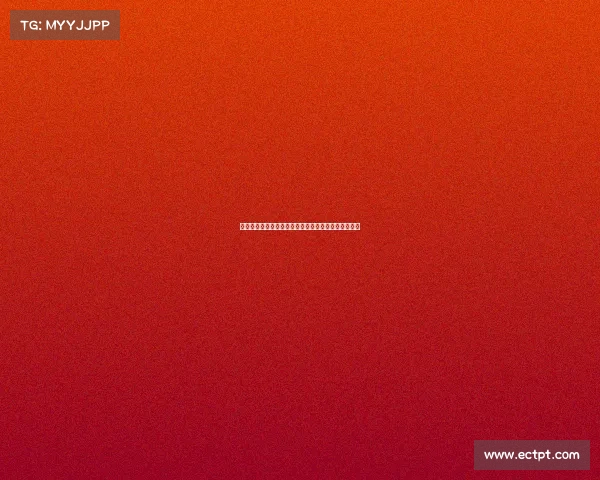 西甲新星崛起：年轻天才引领未来足球潮流，潜力无限